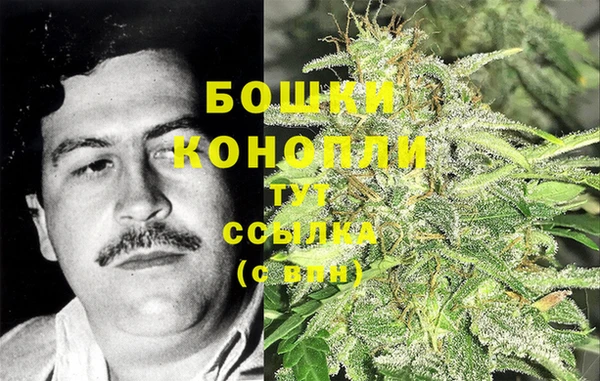 МДПВ Саяногорск