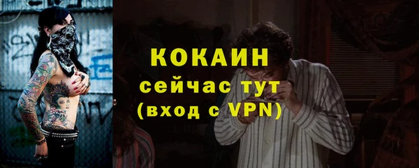 дурь Сатка