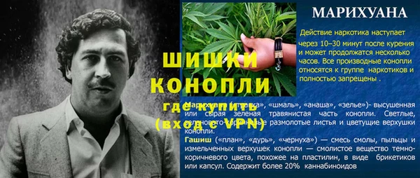 МДПВ Саяногорск